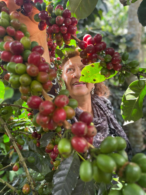 Women in Coffee - International Women's Day 2024