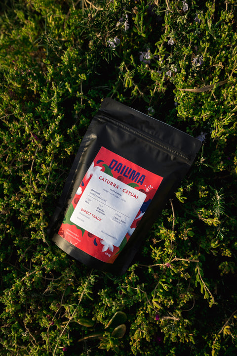 Caturra-Catuai Blend